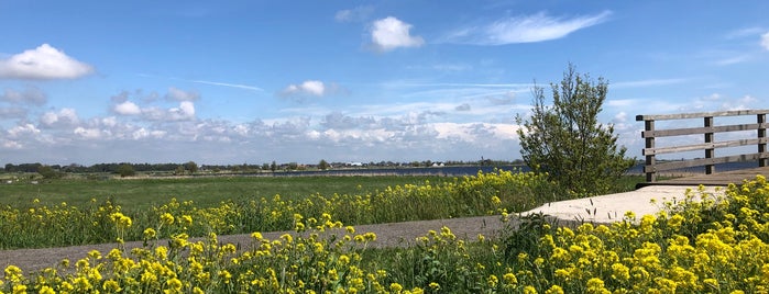 Recreatiegebied De Oude Vuilnisbelt is one of Netherlands.