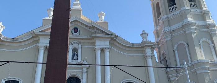 Malolos Cathedral (Minor Basilica of Our Lady of Immaculate Conception) is one of Basilicas in the Philippines.