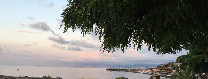 Salacık Plajı is one of Black Sea Tour.