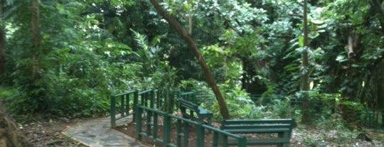 Jardín Botánico, UPR is one of Laurenさんのお気に入りスポット.