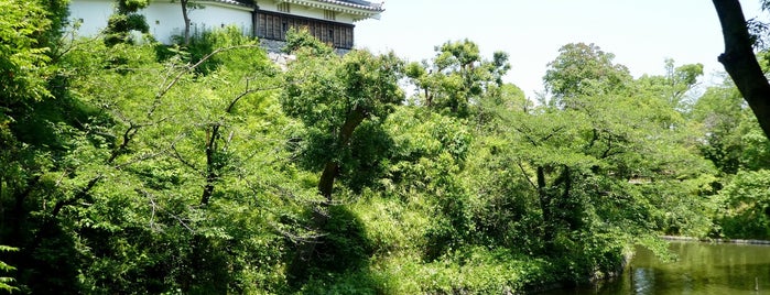 西尾市歴史公園 is one of 「どうする家康」ゆかりのスポット.