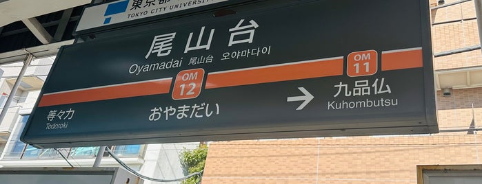 Oyamadai Station (OM12) is one of 大井町線.