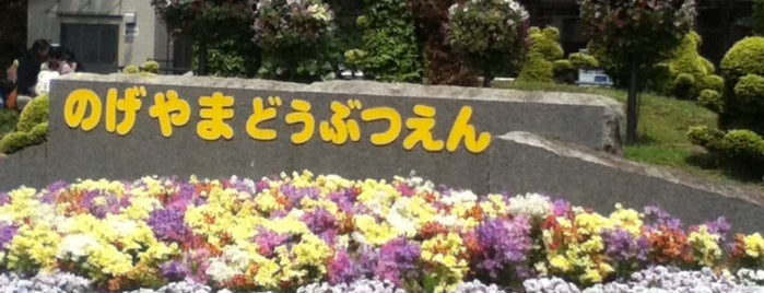 Nogeyama Zoo is one of Masahiro'nun Beğendiği Mekanlar.