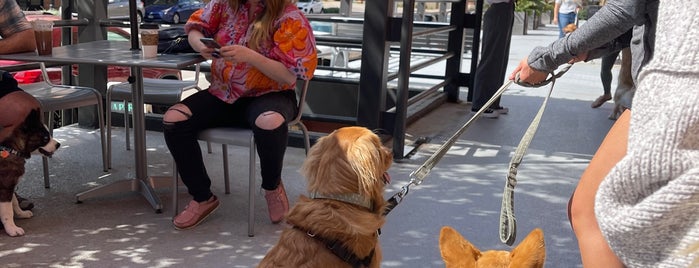 In The Loop Coffee Co. is one of Dog-friendly Minneapolis.