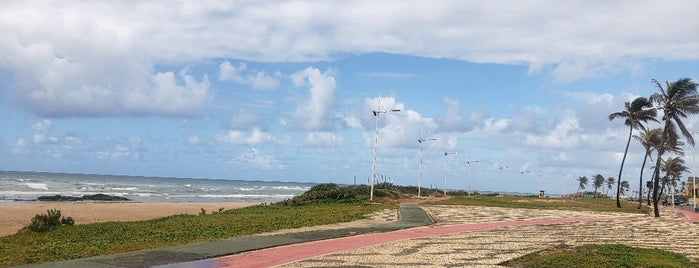 Praia da 3ª Ponte is one of Lieux qui ont plu à Paulo.