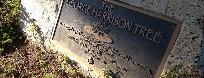 The George Harrison Tree is one of Music-Related Venues & Landmarks.