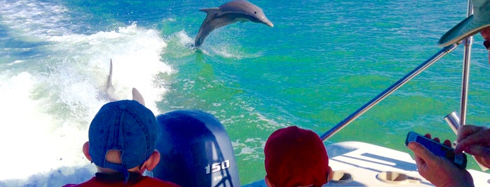 Island Time Dolphin and Shelling Cruises, Inc. is one of THINGS TO DO WITH KIDS.