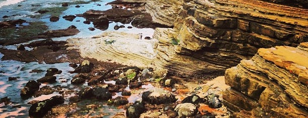 Cabrillo Tidepools is one of Christopher 님이 좋아한 장소.