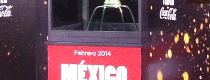 FIFA Tour del Trofeo Coca-Cola 2014 is one of Lugares favoritos de Paulina.