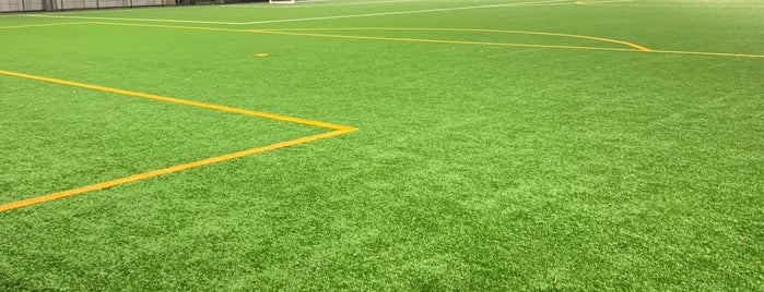 SFAフットボールセンター is one of 廃校転用したサッカーグラウンド.