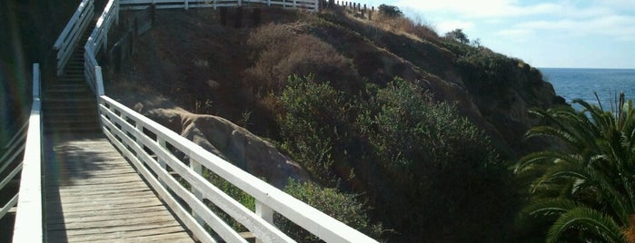 La Jolla Coastal Walk Trail is one of San Diego - To Do.