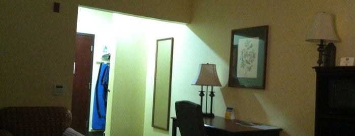 Best Western Plus Sam Houston Inn & Suites is one of hotels/ motels.