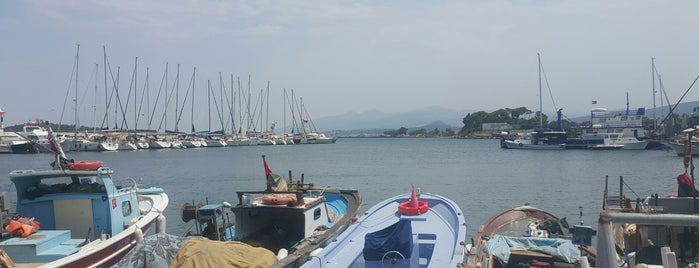 Urla İskele is one of Gokhan’s Liked Places.