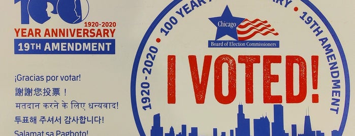 New Field Elementary School is one of 2020 Early Voting Locations Chicago.