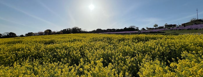 あわじ花さじき is one of Visit.