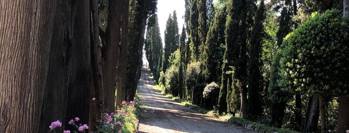Villa Poggio Ai Merli is one of places to go.