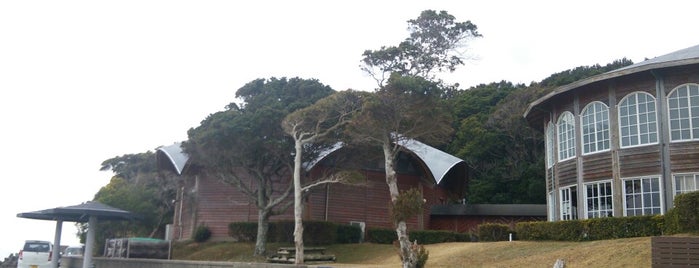 貝の資料館 モラスコむぎ is one of 水族館（らしきものも含む）.
