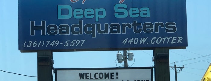 Deep Sea Headquarters is one of (Temp) Best of Texas.