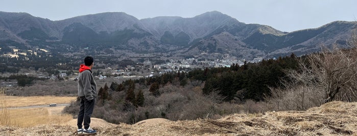 仙石原すすき草原 is one of いきたい場所.