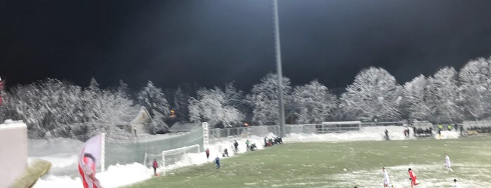 Stadion FK Čukarički is one of Stadioni JSL prva liga 2013/2014.