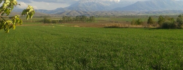 Kabaağaç is one of Tempat yang Disukai Mehmet Fatih.