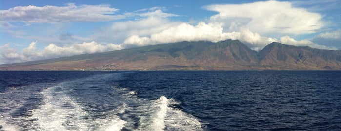 Expeditions Ferry to Lana'i is one of Lieux qui ont plu à Robert.