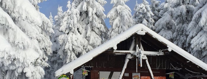 Ski areál Harrachov is one of Горные лыжи - Чехия.