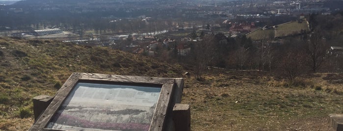 Vyhlídka na Troju (Bohnice) is one of Tempat yang Disukai Vova.