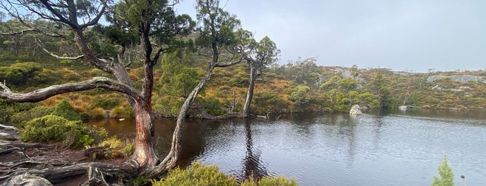 Wombat Pool is one of Tasmania.