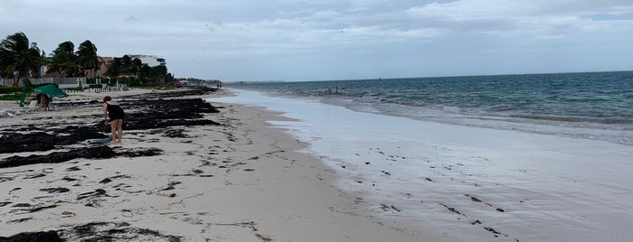 Playa Puerto Morelos is one of Lieux qui ont plu à Sebastian.