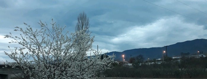 Sakarya Kenarı is one of Locais curtidos por Burak.