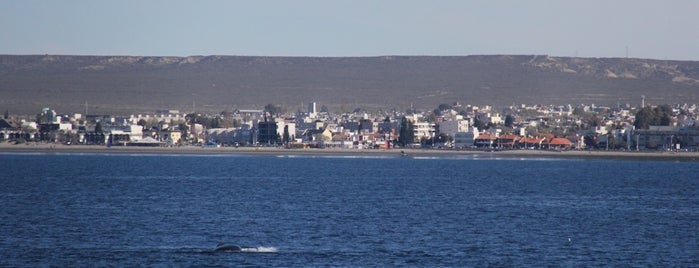 Playa de Puerto Madryn is one of Puerto Madryn.