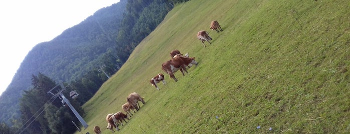 Petzen Talstation is one of Rund um Klagenfurt.