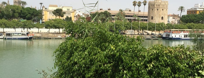 Kiosko Las Flores is one of Seville.