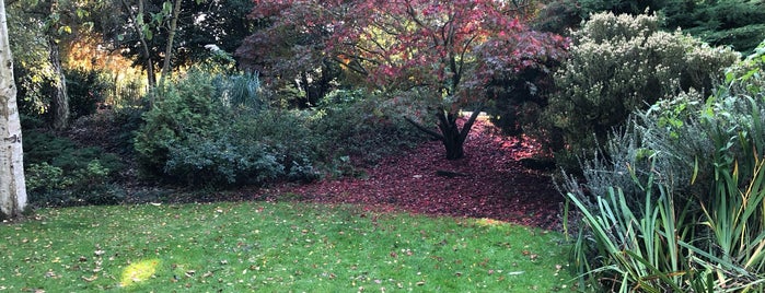 Japanese Garden is one of London. Next time.