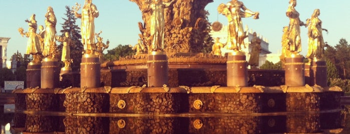 People’s Friendship Fountain is one of Moskova gidilen yerler.