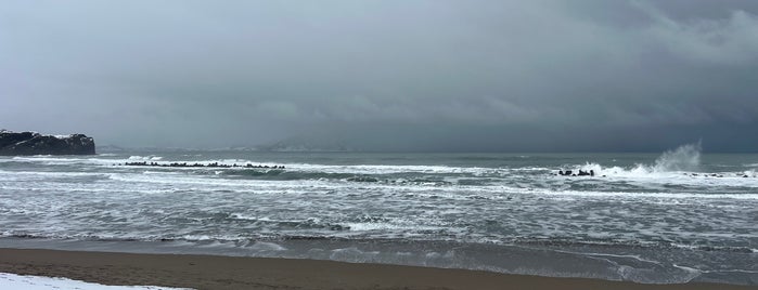 蘭島海水浴場 is one of 楽.