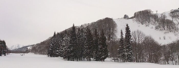 Hakuba Norikura Onsen Ski Area is one of Ski area.