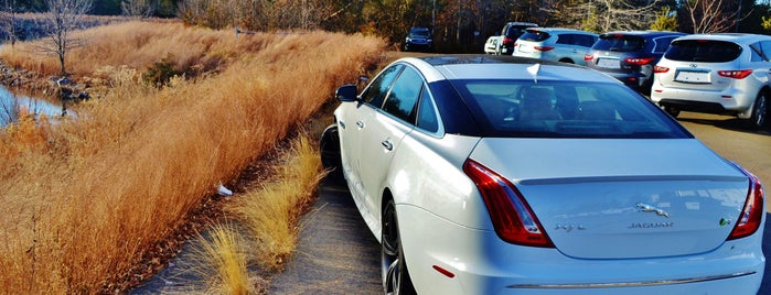 Jaguar Chantilly is one of Auto.