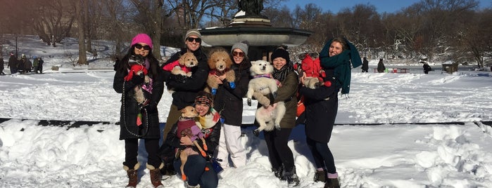 Bethesda Fountain is one of Dog Friendly Spots!.