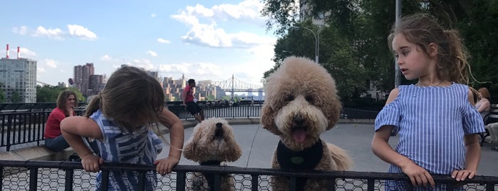 Carl Schurz Dog Run is one of Dog fun spots in NYC!!.