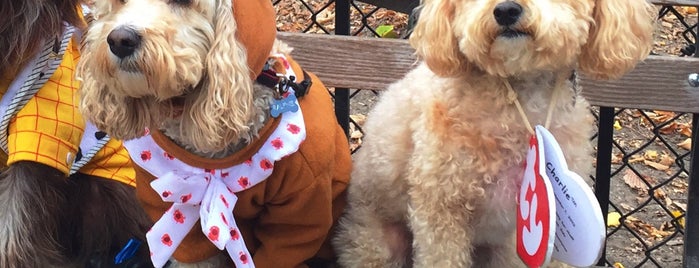 Tompkins Square Park Dog Run is one of The New Yorkers: Pup Life.