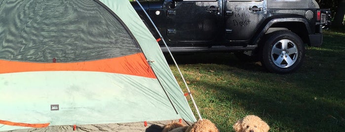 4 Winds Campground is one of Dog Friendly Spots!.