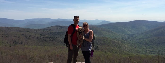 Giant Ledge-Panther-Fox Hollow Trail is one of Catskills 2017.