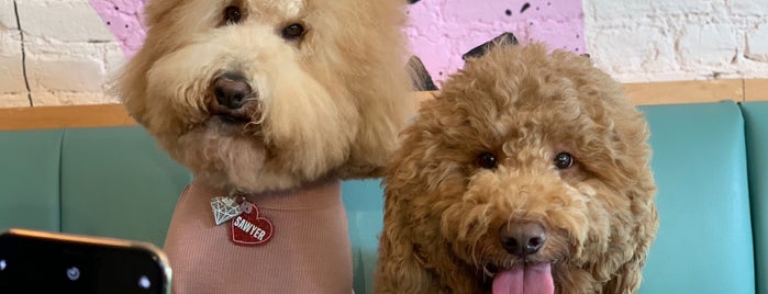 Boris & Horton is one of NYC Dog-friendly.