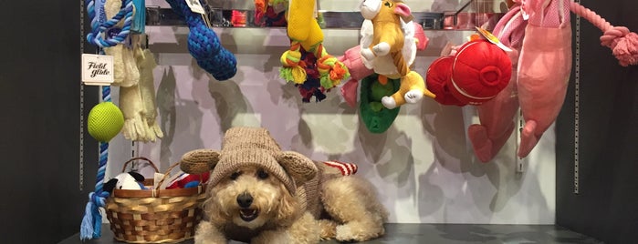 Han Nari & MG is one of The 15 Best Pet Stores in New York City.