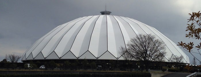Izumo Dome is one of Japan-Hiroshima.
