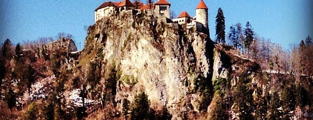 Burg Bled is one of Top of Alternative Places.