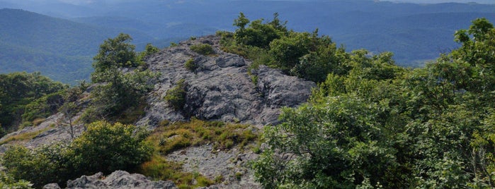 Buffalo Mountain is one of Virginia.