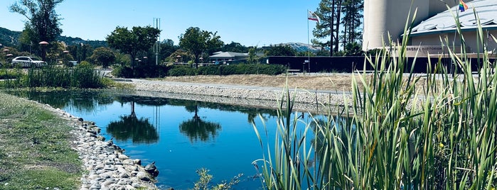 Marin County Fair is one of Exploration.